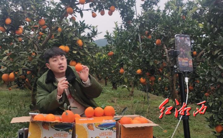 暖心！獨(dú)臂青年賣(mài)豬難 社會(huì)各界“搭把手”